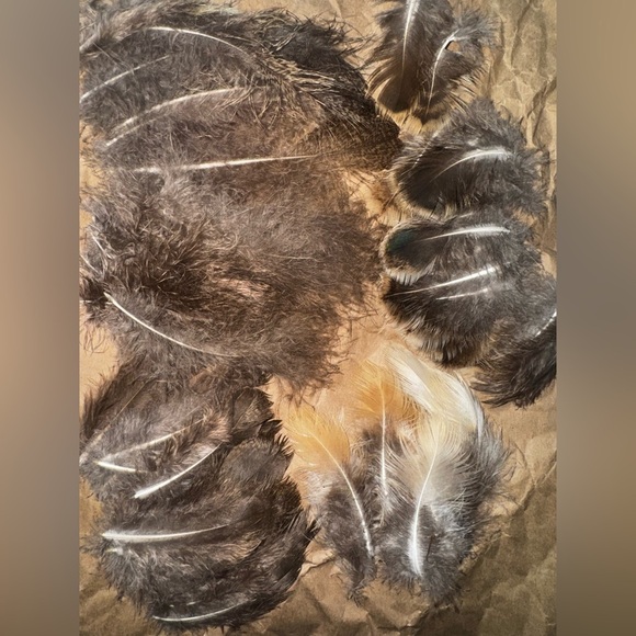Other - 100 peacock Feathers for crafting 1-4 in. Female peahen pea fowl
